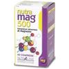 FARMADERBE Srl Farmaderbe Mag 500 Integratore Magnesio 60 Compresse