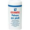 DUAL SANITALY SpA Gehwol Polvere Piedi Deodorante 100 g