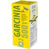 ABBE'ROLAND Srl Garcinia 500 Dren Integratore Drenante Gusto Ananas 500 ml