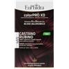 ZETA FARMACEUTICI SpA Euphidra Colorpro XD Tintura Extra Delicata Colore Castano Rubino 465