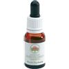 BUSH BIOTHERAPIES Pty Ltd Bush Flower Essences Fiori Australiani Bush Fuchsia Gocce 15 ml