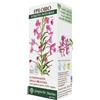 DR.GIORGINI SER-VIS Srl Dr. Giorgini Epilobio Estratto Integrale Integratore Per La Prostata 200 ml