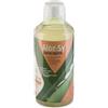 SYRIO Srl Aloe Sy Gusto Frutta - Integratore depurativo - 1000 ml
