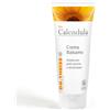 NATURWAREN ITALIA Srl Dr. Theiss Bio Calendula Crema Balsamo Per Pelle Secca 100 ml