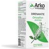 ARKOFARM Srl Arkocapsule Ortosifon Integratore 45 Capsule