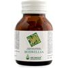 ARCANGEA Srl Arcangea Boswellia 60 Capsule