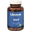 LIFEPLAN PRODUCTS Ltd Lifeplan Kelp Alghe Marine selvatiche per la tiroide 300 tavolette