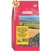 Versele Laga Girasole Piccolo Striato - Sacco Da 600 Gr