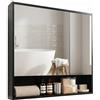 HollyHOME Armadietto a specchio da bagno con ripiano, mobile bagno con porta a doppio specchio, montaggio a parete, armadietto per WC, colore: nero