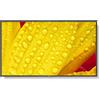 SHARP/NEC M551-2 60006085