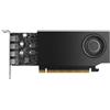 Nvidia NVIDIA RTX A1000 - Scheda grafica - RTX A1000 - 8 GB GDDR6 - PCIe 4.0 x8 profilo basso - 4 x Mini DisplayPort 900-5G172-2580-000
