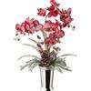 Mazzo di orchidee phalaenopsis in vaso di ceramica - kaiserkraft