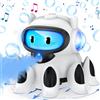 Fileeyn Robot Giocattolo per Bambini con Luci, Musica e Spruzzatore - Intelligente e Durevole con Danza Selvaggia - Regalo di Compleanno per Ragazzi e Ragazze