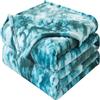 HOZY Coperta Plaid Pile, Coperta Matrimoniale 220 x 240 cm Flanella, Coperta Divano Super Grande Caldo Morbida - Turchese