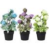 King Collection PIANTINE ARTIFICIALI SET 3 PZ IN SCATOLA TRASPARENTE DI ACETATO