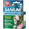 PROTECT GARDEN Sanium SL 25 Anticocciniglia PFnPO, Insetticida Sistemico Concentrato. Elimina Cocciniglia Sia Fasi larvali Che Adulte. Rapida Azione Abbattente. Fino a 8 Settimane di Protezione. 5ml