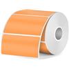 FINDAT Etichette Termiche Arancione 50 X 25 mm Compatibile Stampanti M110 M220 Rettangolari Autoadesive Vinile Impermeabile Stampabile per Ufficio Disegni Codici a Barre Spedizione 350/Rotolo