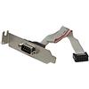 Startech.Com Slot Piastra Lp da Seriale Maschio 9 Pin a Header Scheda Madre 10 Pin