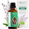 Essences Bulgaria Olio Essenziale di Salvia Biologico 50ml | Salvia officinalis | 100% Puro e Naturale | Non Diluito | Grado Terapeutico | Fattoria di Famiglia | Distillato a vapore