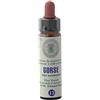 farmaflor Gorse Nr. 13 Princeps Fiori di Bach Originali Gocce Ginestra