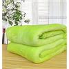 ENEN Plaid in Pile Tinta Unita Coperta Coperta Calda Plaid in Pile di Flanella Microfibra Letto Matrimoniale e Divano in Microfibra per Ultra Morbida & Comfort (150x200cm,Verde fruttato)