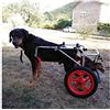 CH Carrello Per Cani Sedia A Rotelle Per Cani Regolabile Sedia A Rotelle Carrozzina Per Animali Domestici Per Le Zampe Leg Riabilitazione Posteriori Dell'animale Domestico Pratica Riabilitazione Degli