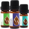 Essences Bulgaria Set Oli Essenziali Biologici Riparazione Capelli 25ml