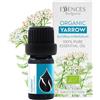 Essences Bulgaria Olio Essenziale di Achillea Biologico 5ml | Achillea millefolium | 100% Puro e Naturale | Non Diluito | Grado Terapeutico | Fattoria a Conduzione Familiare | Distillato a Vapore