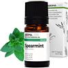 Aroma Labs - Menta Verde BIO - Olio Essenziale Chemiotipizato e Certificato AB - 5 mL