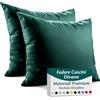 Flowen Federe Cuscini Divano 30x30 Set da 2 Copricuscini in Microfibra Fodere Lavabili e Resistenti 30 x 30 cm Tessuto 100% Poliestere Traspirante Anallergico Antiacaro Ideali per Arredo Casa