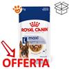 Royal Canin SHN Dog Maxi Ageing 8+ - Bustina Da 140 Gr - CONFEZIONE RISPARMIO