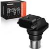 Frankberg Posizione dell'albero Motore Sensore dell'albero Motore 2-Poli Compatibile con Punto Furgone/Compatto 188 Seicento/600 187 Strada Pick-up 178 278 Punto 188 Doblo Furgone/MPV 223 46786049