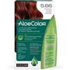 ZUCCARI Srl ALOECOLOR 5,66 CASTANO CHIARO ROSSO INTENSO TINTA PERMANENTE CAPELLI COLORE AD ALTA PIGMENTAZIONE 50 ML + RIVELATORE ALOEOSSIGENATA 75 ML + SHAMPOO ALOECARE 15 ML + GUANTI