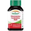 BIOVITA GLUCOSAMINA CONDROIT MSM120CPR