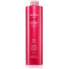 Medavita LUXVIVA Protective Pre Color Hair Treatment 500 ml
