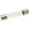 HorecaForniture Fusibile Ritardato Ø 6,3X32 Mm - 10 Pz 3049065