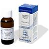 SARANDREA MARCO &C. Extragem Mirtillo Rosso Giovani Getti Gocce 20ml