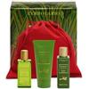 L'ERBOLARIO SB Srl RABARBARO BEAUTY SET ED LIM