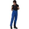 SALEWA ORTLES GTX PRO STRETCH PANTS Pantalone Outdoor Donna