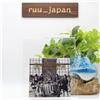 New Band-Maid - Nuovo CD iniziale + DVD bonus JAPAN