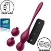 Satisfyer Love Birds Vary Connect App Wine Red