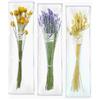 DIEMME FIORI | Assortimento 3 Bouquet di Lavanda, Craspedia, Phalaris Naturali Essiccati, Lungo Periodo di Conservazione, Ideale per Decorare ogni Ambiente, 40g / 120g