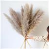YIYA 114cm Naturali Pampas Decorative 12 Pcs Erba Della Pampas Essiccata Decorative Erba di Pampa XXL per Soggiorno, Casa, Pavimento, Vaso, Decorazione Boemia（grigio）