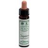 SANTIVERI Sa AINSWORTHS IMPATIENTS 10ML