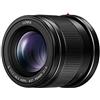 Panasonic H-HS043E-K - Obiettivo, Distanza Focale 42.5 mm, Apertura F1.7, Misura Filtro 37 mm
