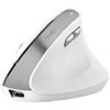 TRUST Mouse Ergonomico Bayo II wireless - bianco - Trust (unità vendita 1 pz.)