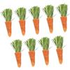 Sosoport Giocattoli Molari A Forma Di Carota Per Criceti E - - Giocattolo Da Masticare Per Animali Domestici - Bastoncini Da A Forma Di Coniglietto