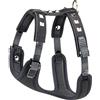 Ferplast Pettorina per Cani GIOTTO LUXOR SMALL, in Vera Pelle con Borchie Argentate