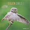Alpha Edition Owls 2025 CALENDARIO DA PARETE 30X30 CM