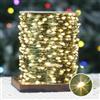 PCORES Ghirlande luminose 30 m 300 LED, con spina, telecomando e timer, filo di rame verde impermeabile, luci scintillanti per Natale (bianco caldo, adattatore incluso)